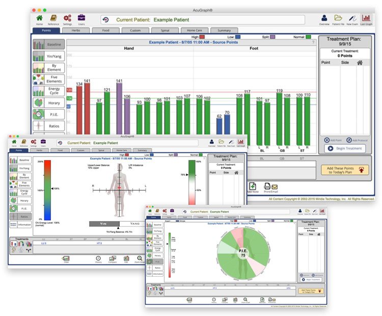 Acupuncture Charting Software